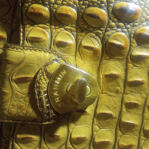 Brahmin - Picture 11 of 12